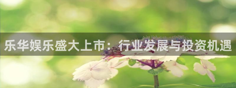 百达娱乐