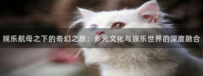 百达娱乐